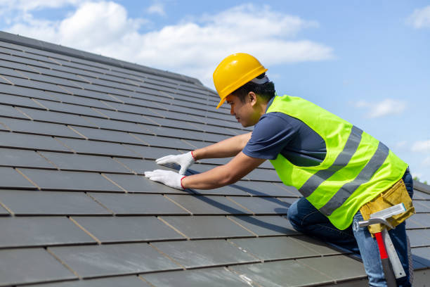 Best Roof Gutter Cleaning  in Feather Sound, FL