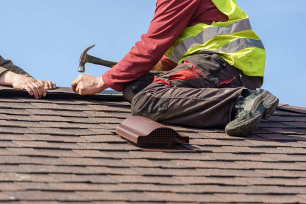 Roof Gutter Cleaning in Feather Sound, FL