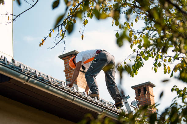 Best Local Roofing Companies  in Feather Sound, FL