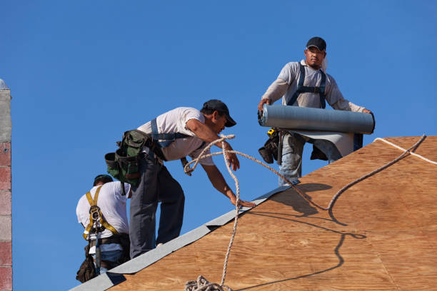Best Storm Damage Roof Repair  in Feather Sound, FL