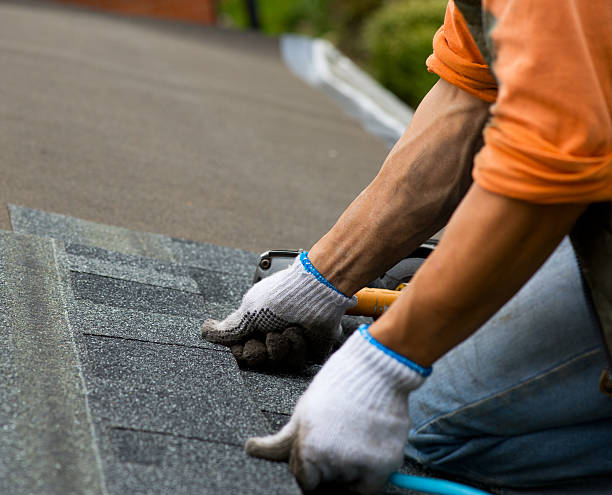 Best Shingle Roofing Installation  in Feather Sound, FL