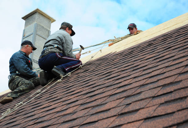 Best Local Roofing Companies  in Feather Sound, FL